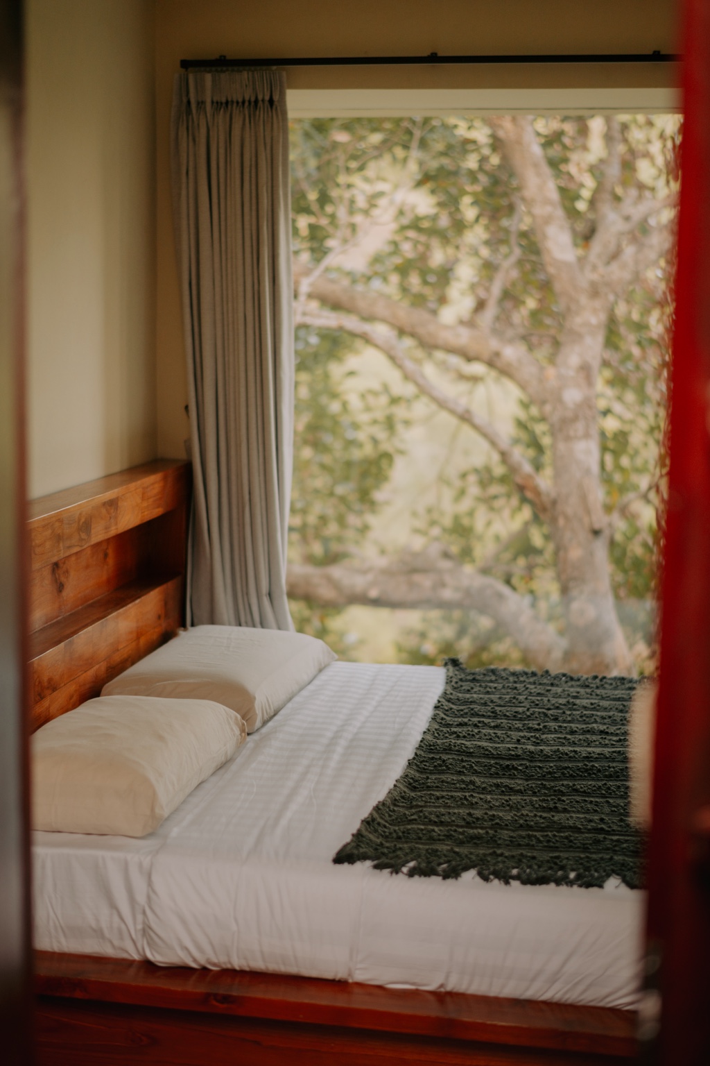 The enclosed Sleep Chamber overlooking the trees at The Orca Sanctuary